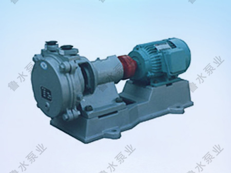 SZB系列水環式(shi)真空泵