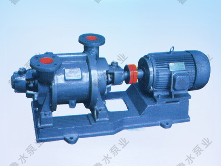 SZ系列水環式(shi)真空泵